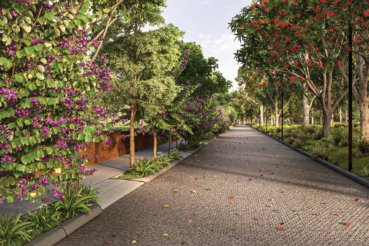 Century Plots Airport Road