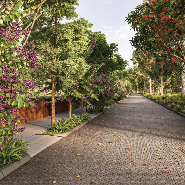 Century Plots Airport Road